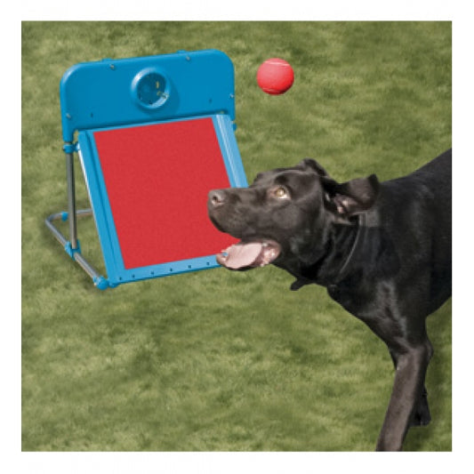 Rosewood Agility Fly Ball