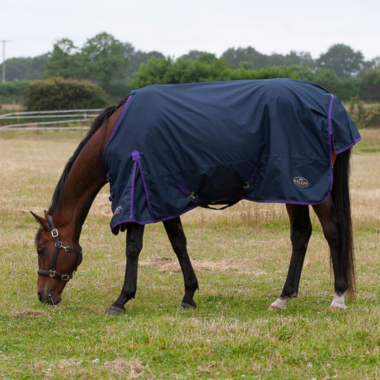 Gallop No Fill Turnout Rug