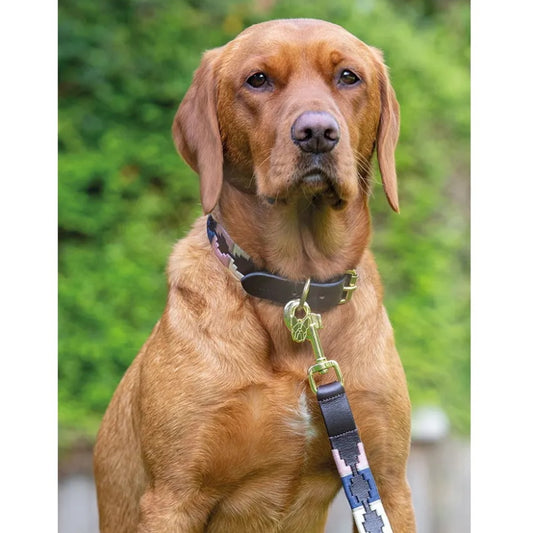 Drover Polo Dog Lead Natural