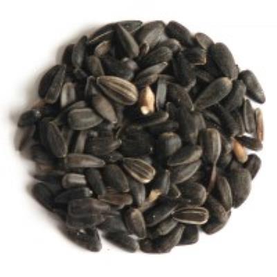 Widmer Black Sunflower