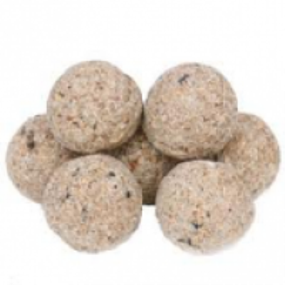 Widmer: Fat Balls 20''s