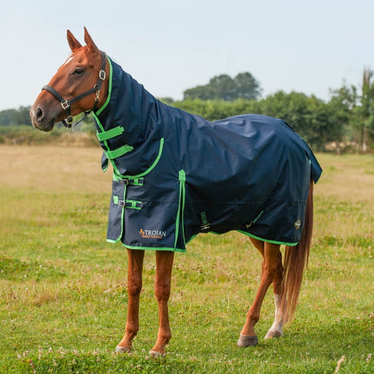 Gallop No Fill Combo Turnout
