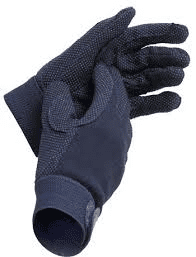 Newbury Gloves Adult: Navy