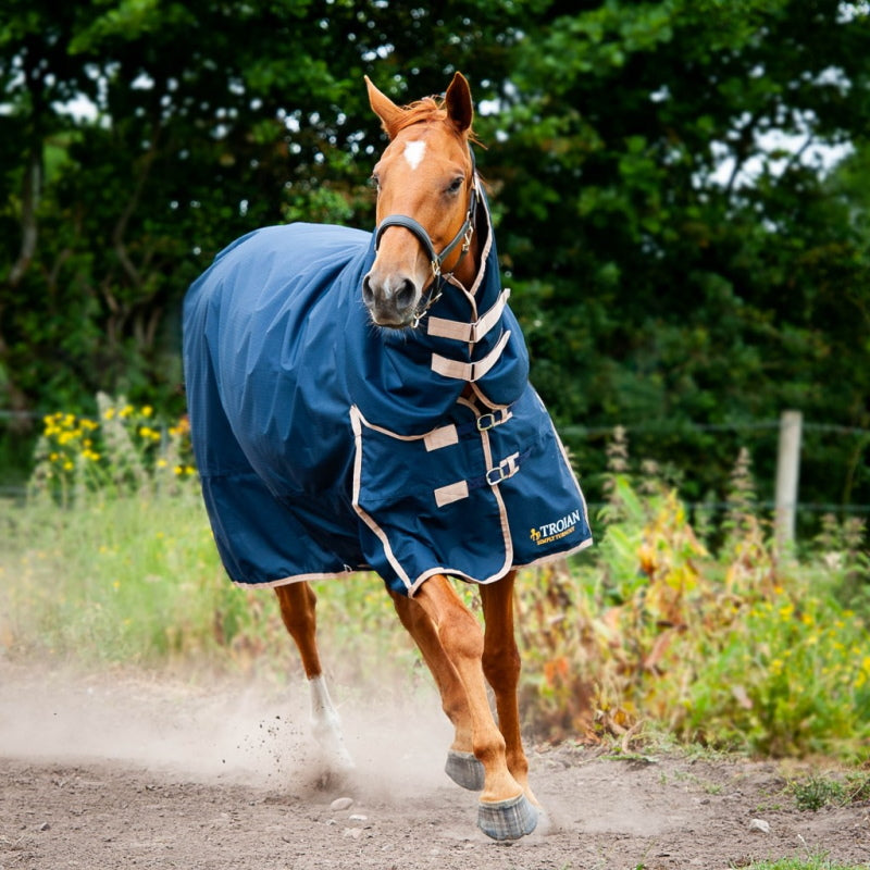 Gallop Trojan 100g Combo Turnout Rug