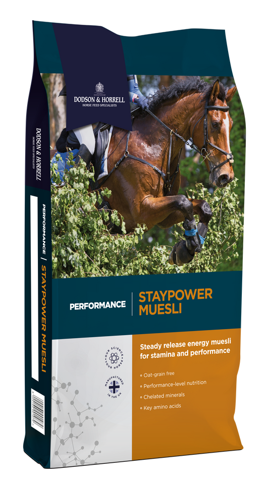 D&H: Staypower Muesli 20kg