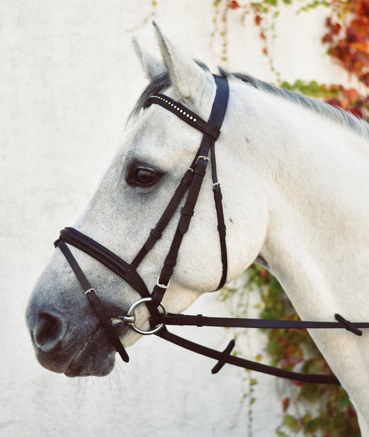 Equisential Bling Black Bridle