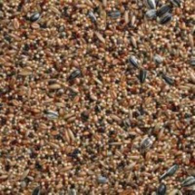 Buckton Aviary Mix 1kg