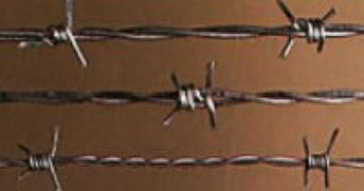 Barbed Wire 200m Roll