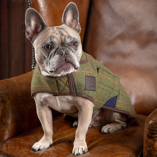 Digby & Fox Tweed Dog Coat
