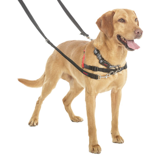 Digby & Fox Heritage Harness Indigo: XL