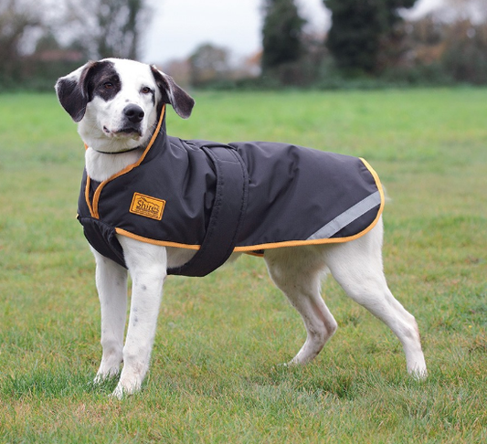 Shires Stormbreaker Dog Coat Black/Gold