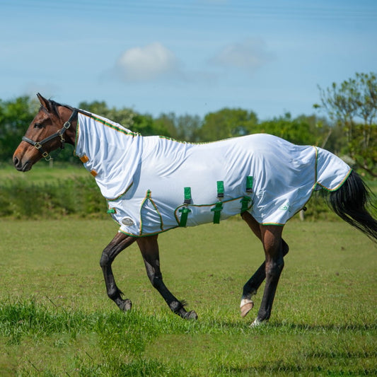 Gallop Fly Mesh Combo Rug