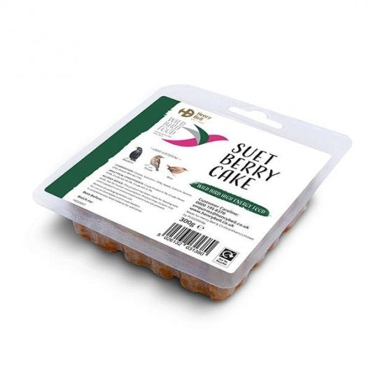 Henry Bell: Suet Berry Cake