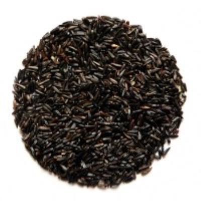 Widmer Niger Seed