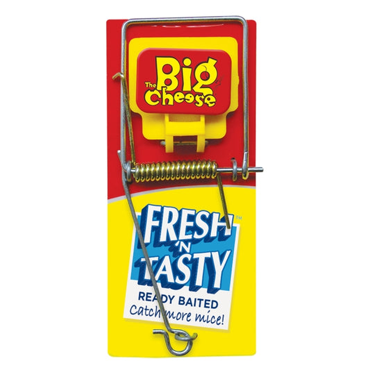 The Big Cheese: Fresh Baited Mouse Trap
