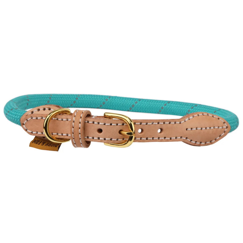 Digby & Fox Reflective Dog Collar Teal