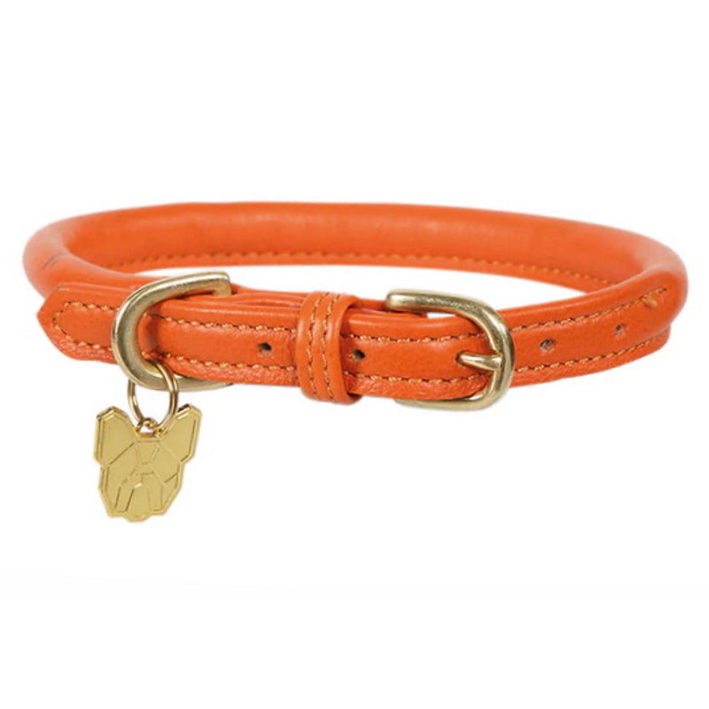 Digby & Fox Rolled Leather Dog Collar Orange