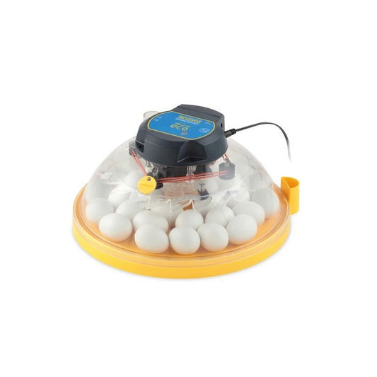 Brinsea: Maxi 11 Eco Incubator