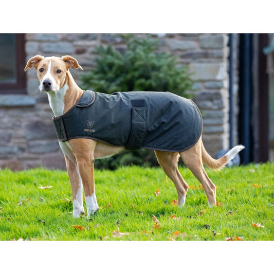 Digby & Fox Wax Dog Coat Olive