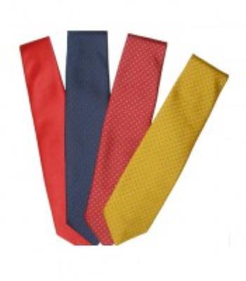Show Tie Child