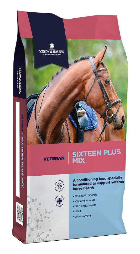 D&H: Sixteen Plus Mix 20kg