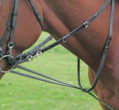Blenheim Market Harborough Martingale