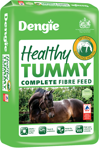 Dengie: Healthy Tummy 20kg