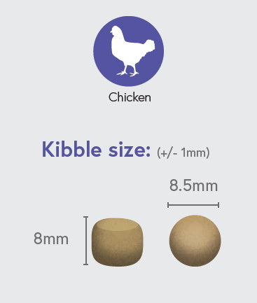 Widmer: SP Puppy Chicken With Rice