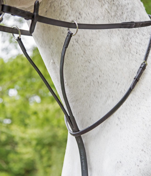 Bridleway Melton Running Martingale