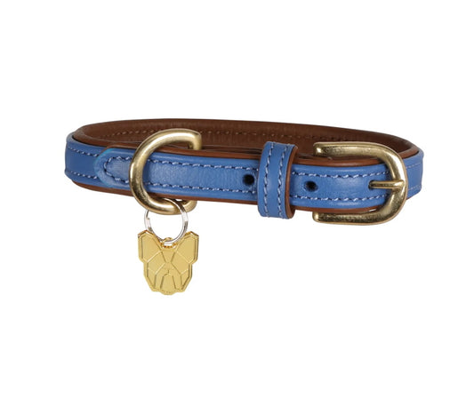 Digby & Fox Padded Leather Dog Collar Blue