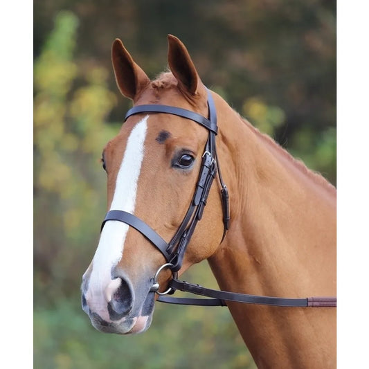 Aviemore Plain Bridle