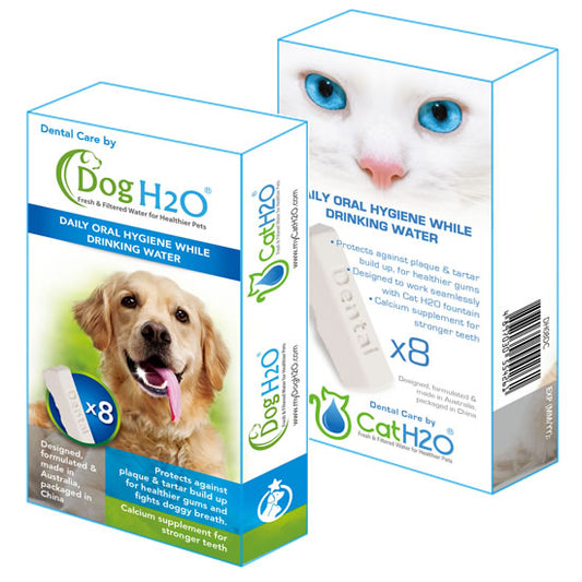 Lazy Bones - Fresh & Filtered H2O Supplement