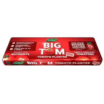 Westlands: 'Big Tom' Peat Free Tomato Planter Lge