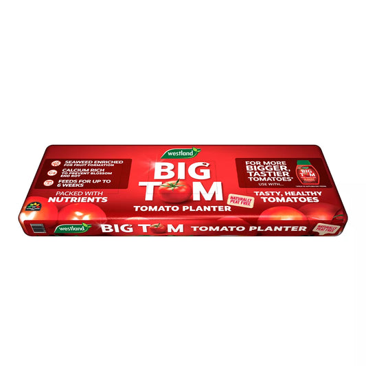 Westlands: 'Big Tom' Peat Free Tomato Planter Large