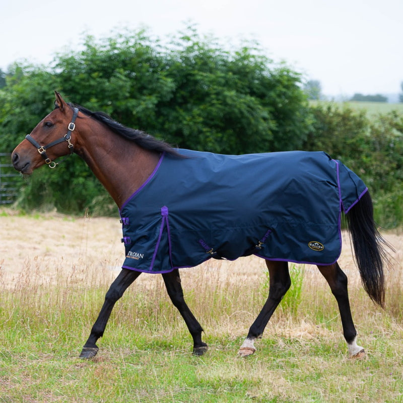 Gallop No Fill Turnout Rug