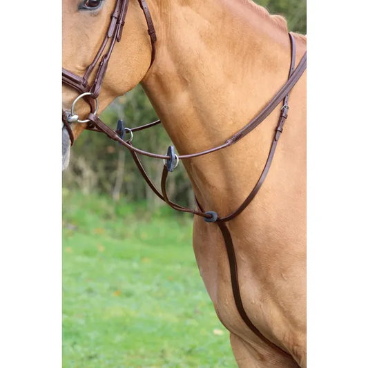 Aviemore Running Martingale Havana