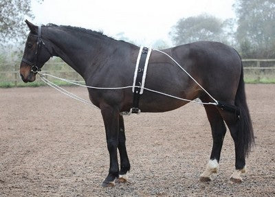 Shires Lunging Aid: One Size