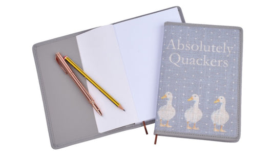 RL Quackers Notebook
