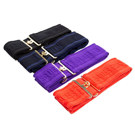Hy Elasticated Surcingle