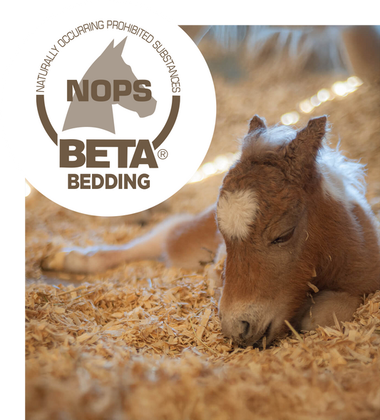 Arbor Forest Slumber: Shavings Single Bale