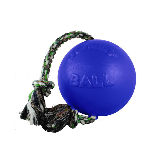 Jolly Pets Romp N Roll, Blue