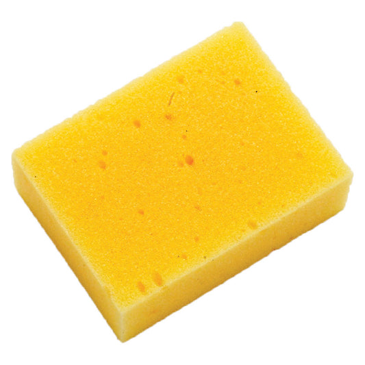 Lincoln Economy Large Sponges