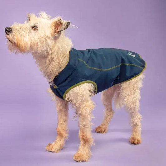 Digby & Fox Softshell Dog Coat Navy