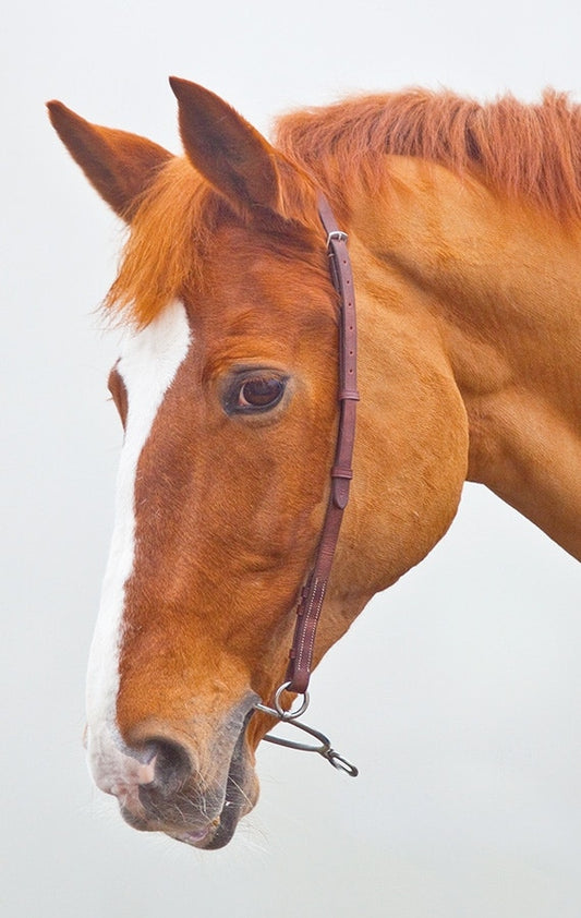 Chifney Bit Leather Headpiece