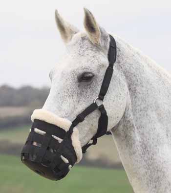 Deluxe Fleece Lined Grazing Muzzle