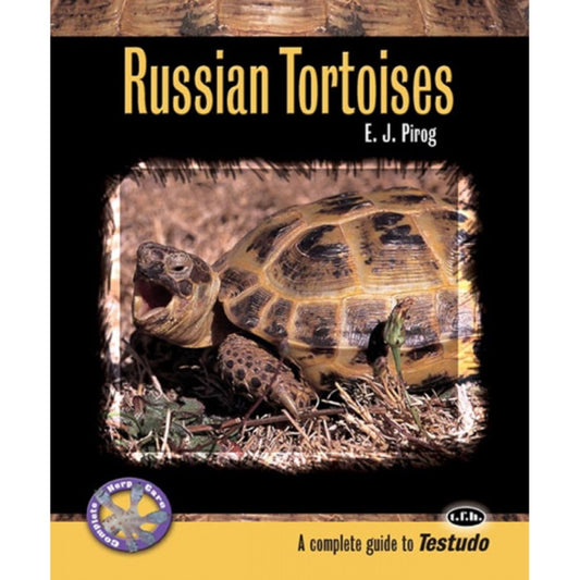 ECO Russian Tortoises In Captivity