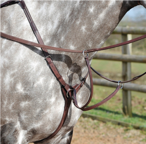 Bridleway Buckingham Breastplate