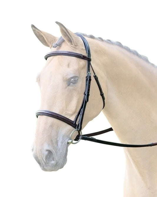 Bridleway Lavello Raised Cavesson Bridle Havana