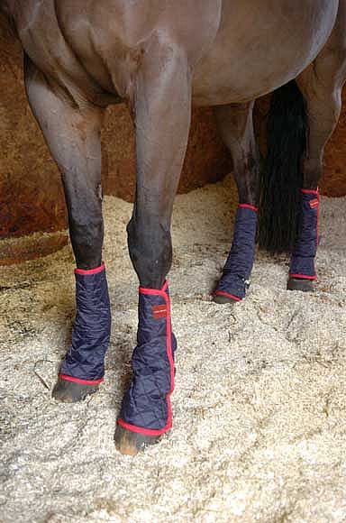 Equilibrium Magnetic Therapy Chaps
