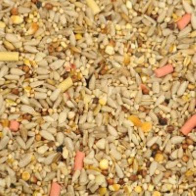 Widmer Husk Free Wild Bird Seed